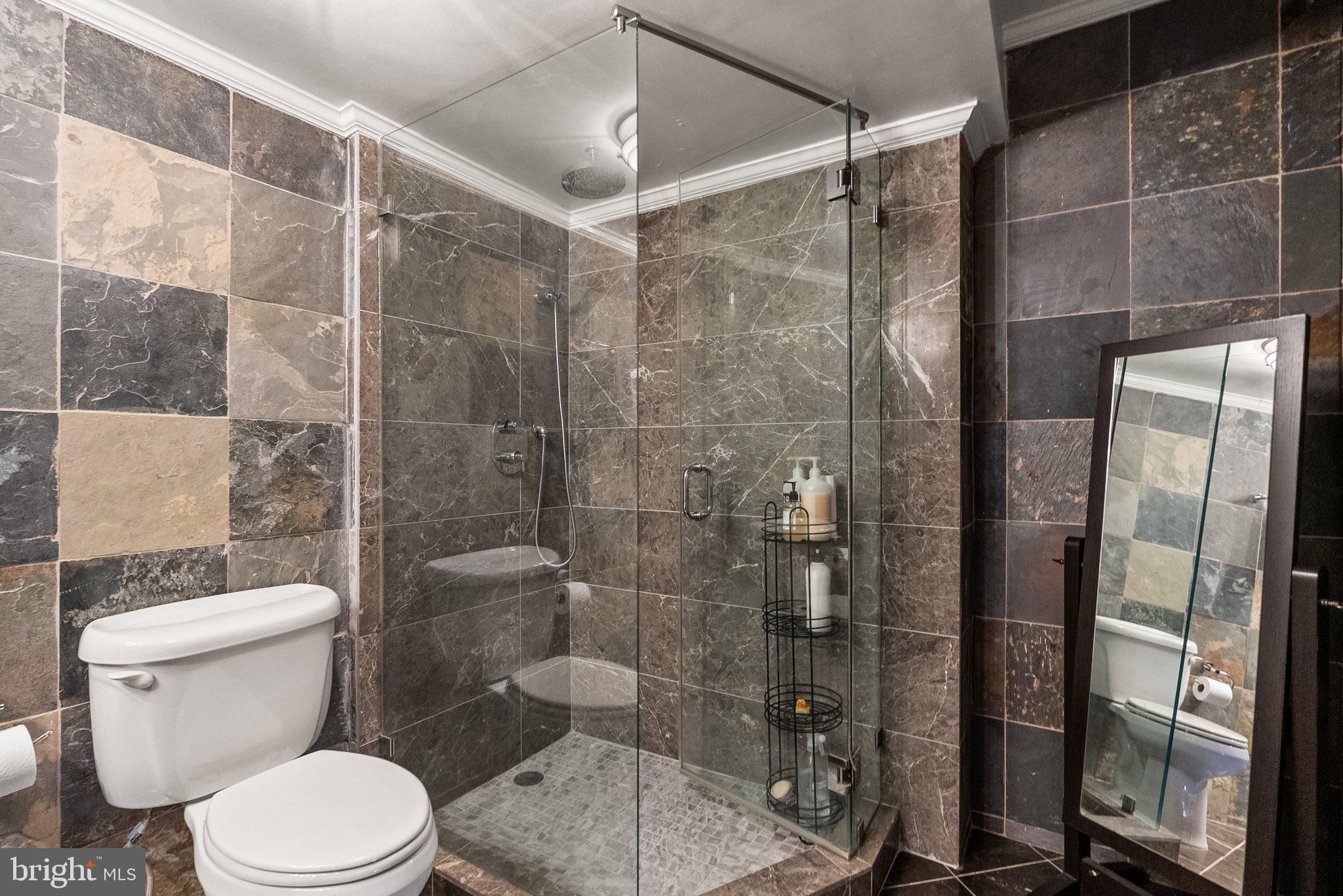 2500 Virginia Avenue Northwest, Unit 906S Washington, DC 20037 - Photo 22 of 39 a bathroom with a toilet and a shower