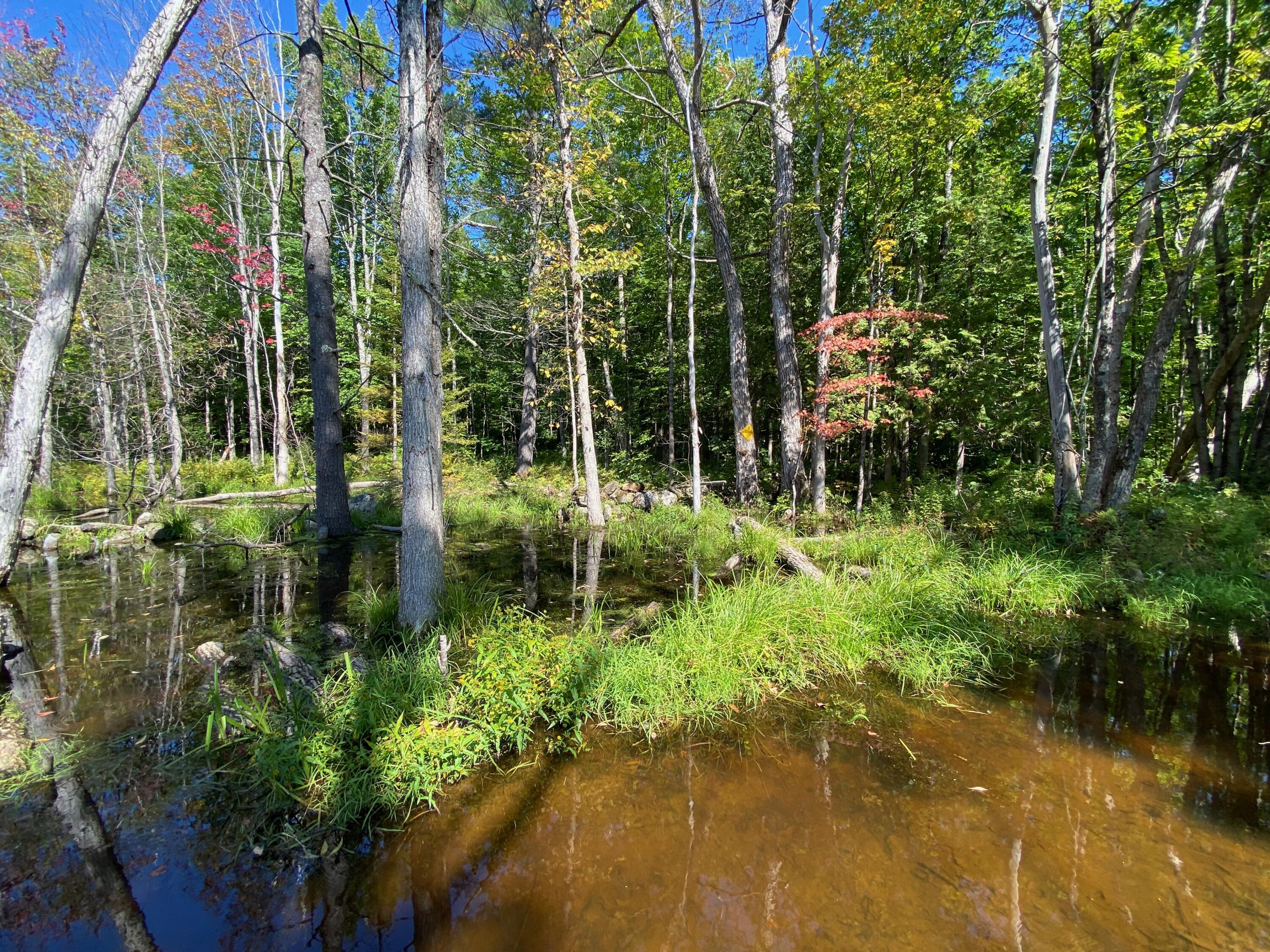 203 North Taylor Road Mount Vernon, ME 04352 - Photo 72 of 98 BEAVER POND