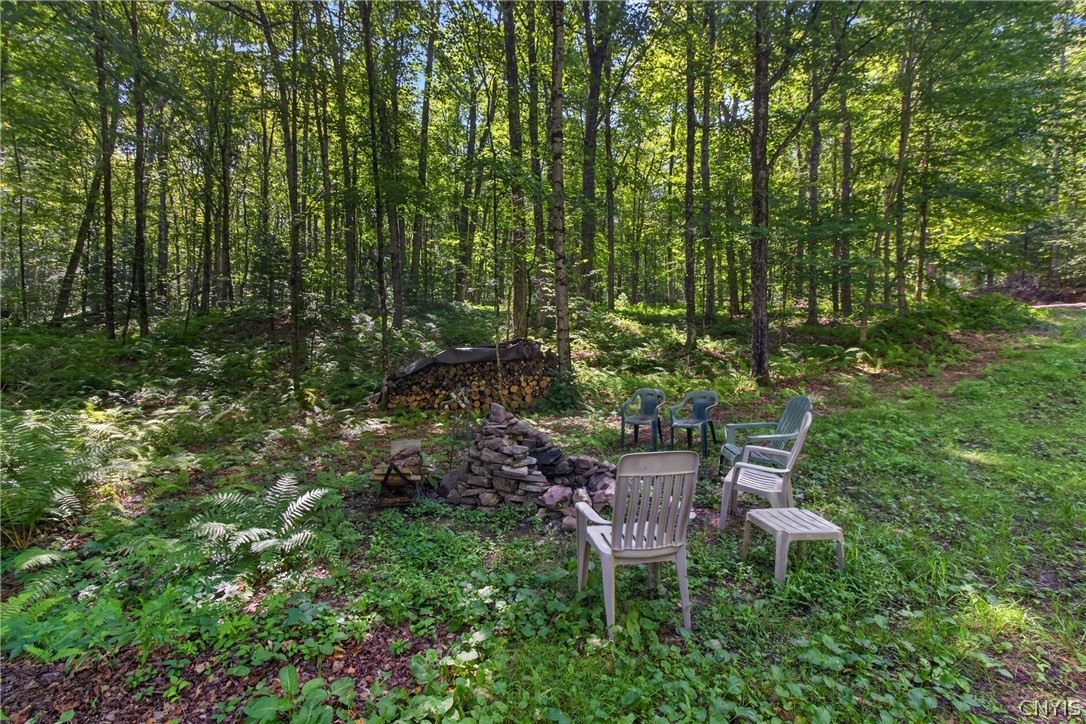 0 Fishermans Bridge Road Camden, NY 13316 - Photo 5 of 43 Gallery Image 5