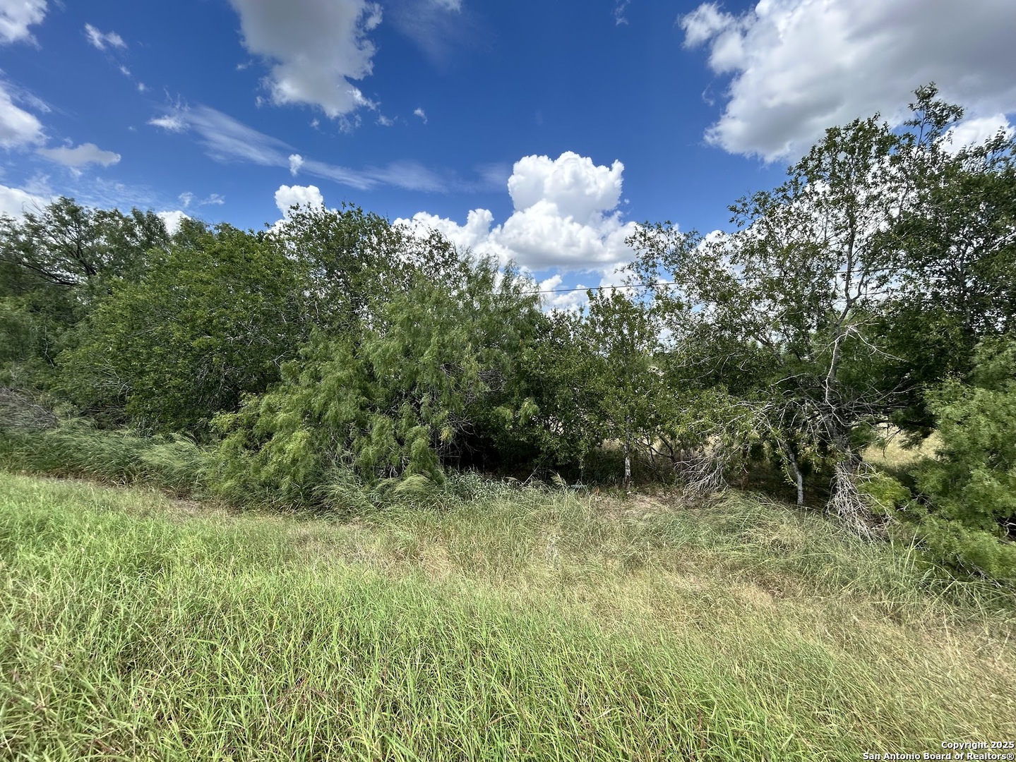 8774 Highway 281 Pleasanton, TX 78064 - Photo 2 of 14