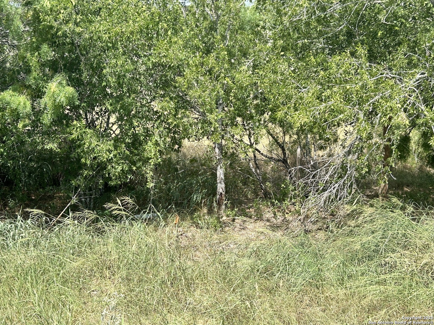 8774 Highway 281 Pleasanton, TX 78064 - Photo 3 of 14