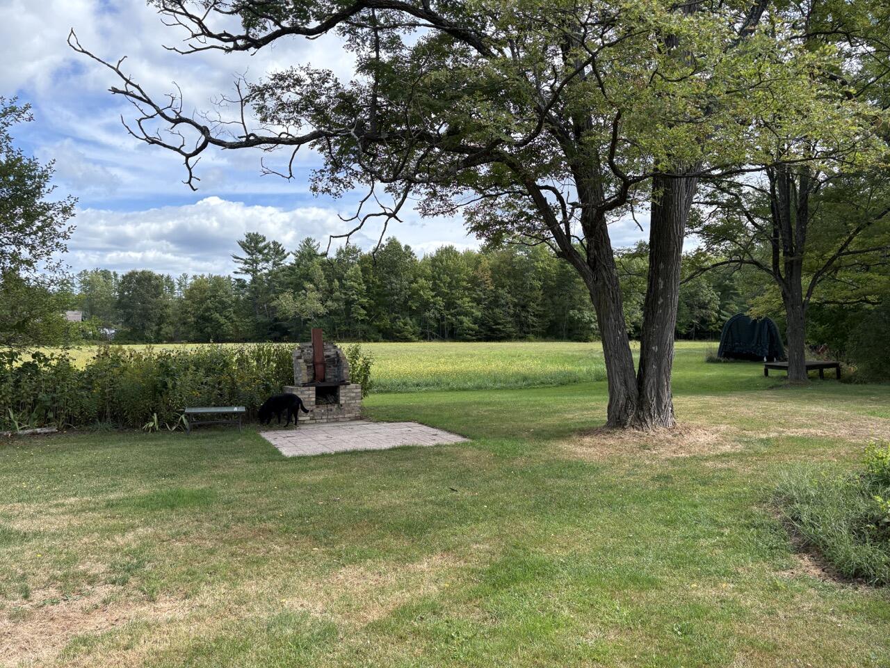 465 Carthage Road Carthage, ME 04224 - Photo 41 of 51 IMG_3604 Large