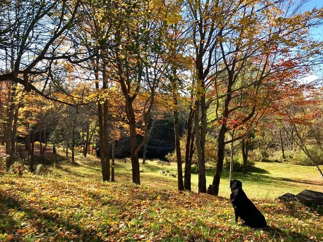 $425,000 | 465 Carthage Road, Carthage, ME 04224