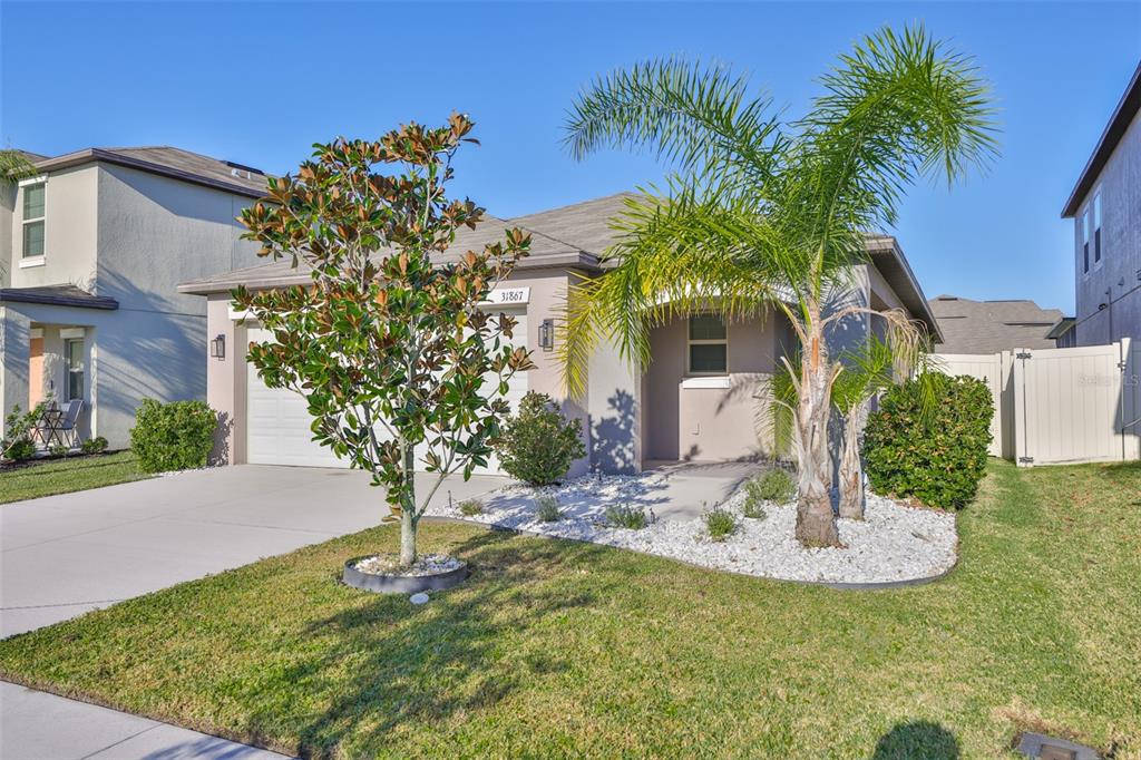 31867 Barrel Wave Way Wesley Chapel, FL 33545 - Photo 5 of 45 a front view of a house with garden