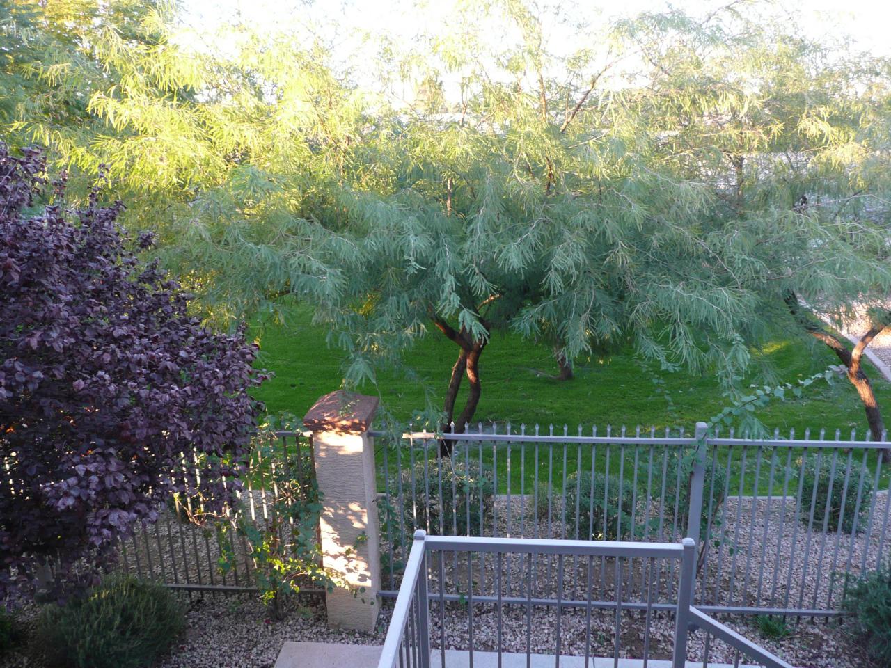 6515 West McDowell Road, Unit 2074 Phoenix, AZ 85035 - Photo 14 of 14 View from front door