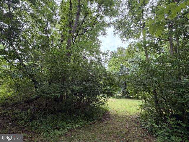 1801 Old Chapel Road Boyce, VA 22620 - Photo 21 of 31 Hidden and Shady Pathways.