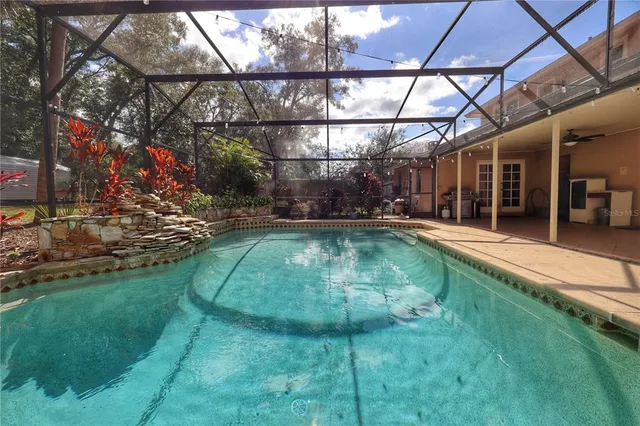 a view of a yard with plants and trees