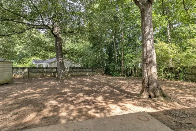 a view of a trees with a tree