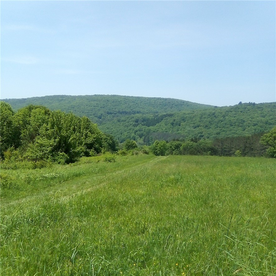 3190 County Highway Walton, NY 13856 - Photo 4 of 31