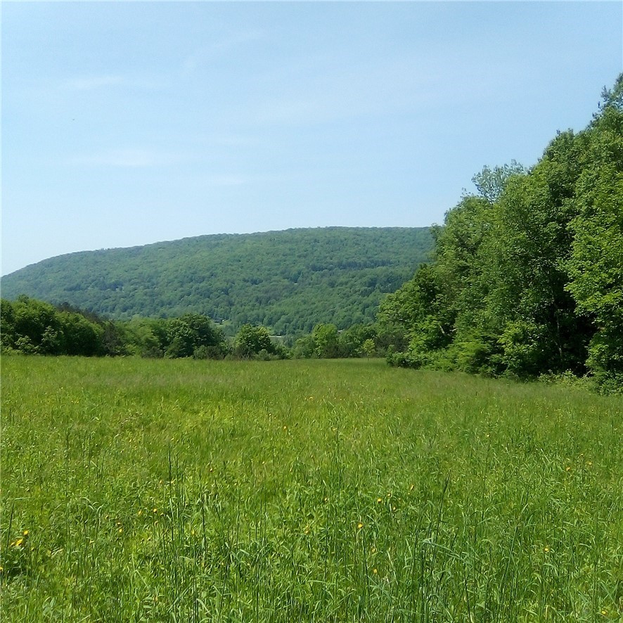 3190 County Highway Walton, NY 13856 - Photo 8 of 31