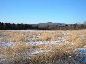 206 Chapin Road Essex, VT 05452 - Photo 6 of 6 Gallery Image 6