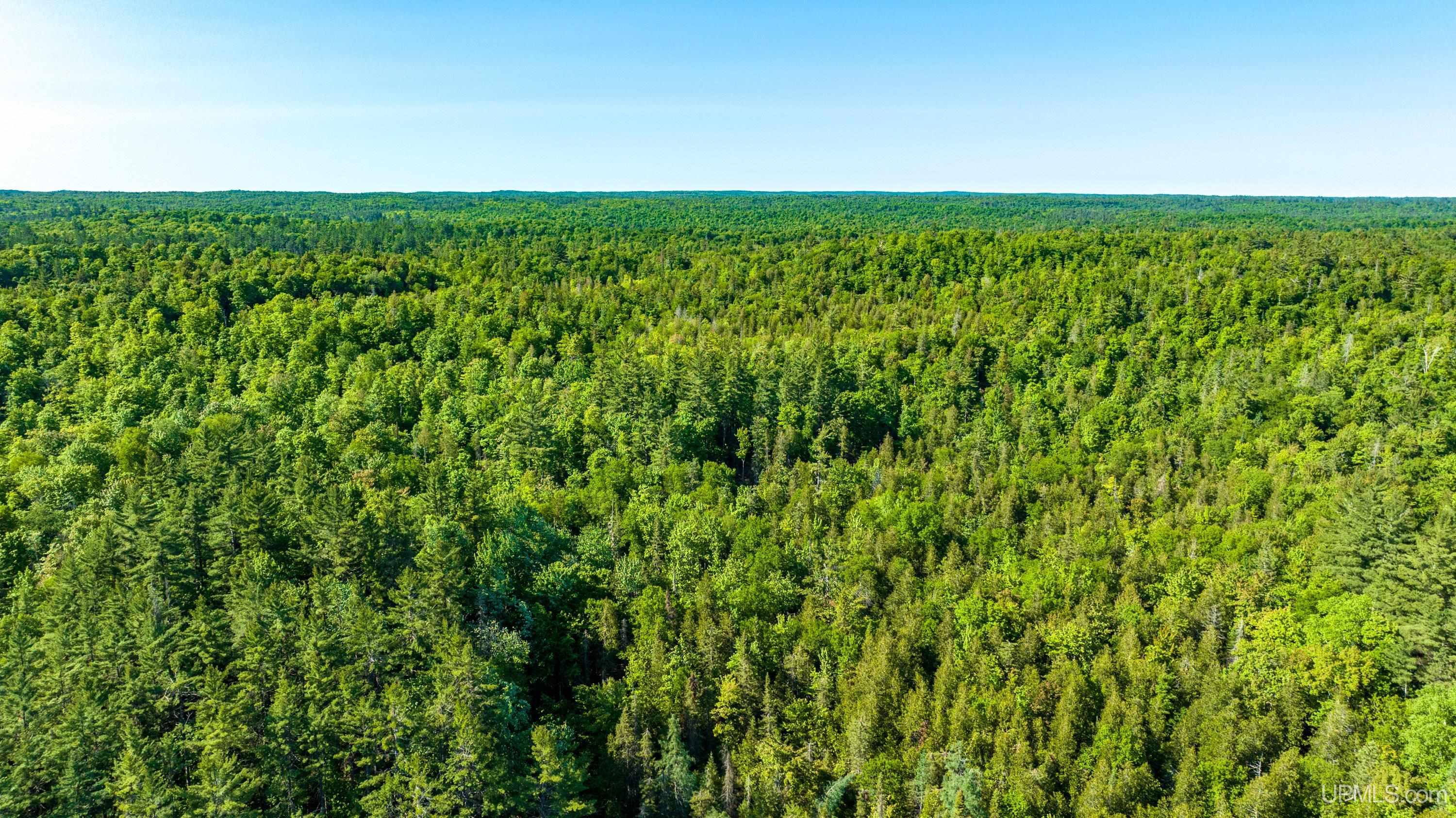 Tbd Tbd Dommer Lake Road Michigamme, MI 49861 - Photo 21 of 25
