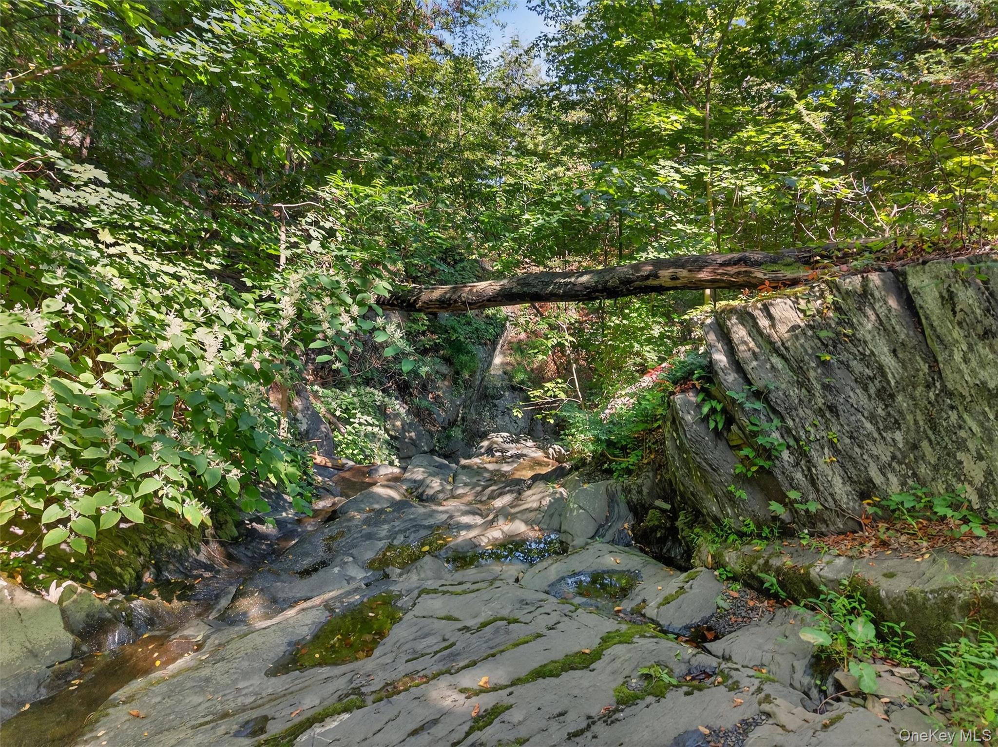 331 Mountain Lodge Road Blooming Grove, NY 10950 - Photo 11 of 50 View of wooded area