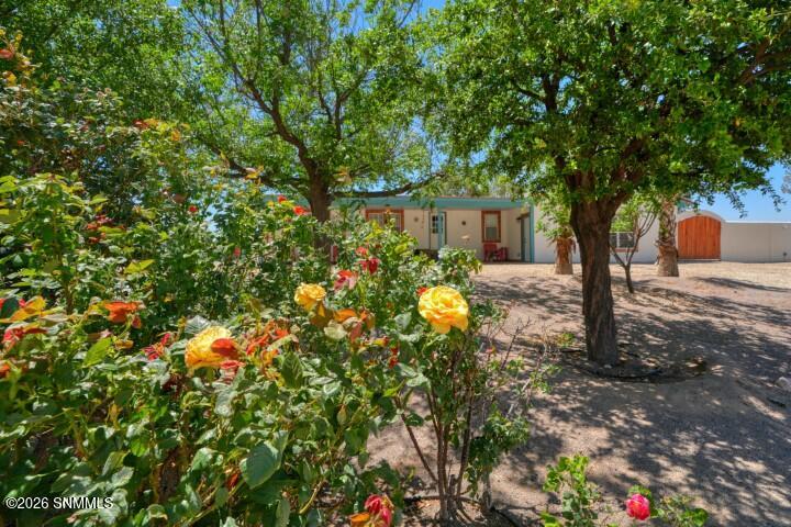 245 Hurt Road Las Cruces, NM 88007 - Photo 6 of 84 06 (Small)