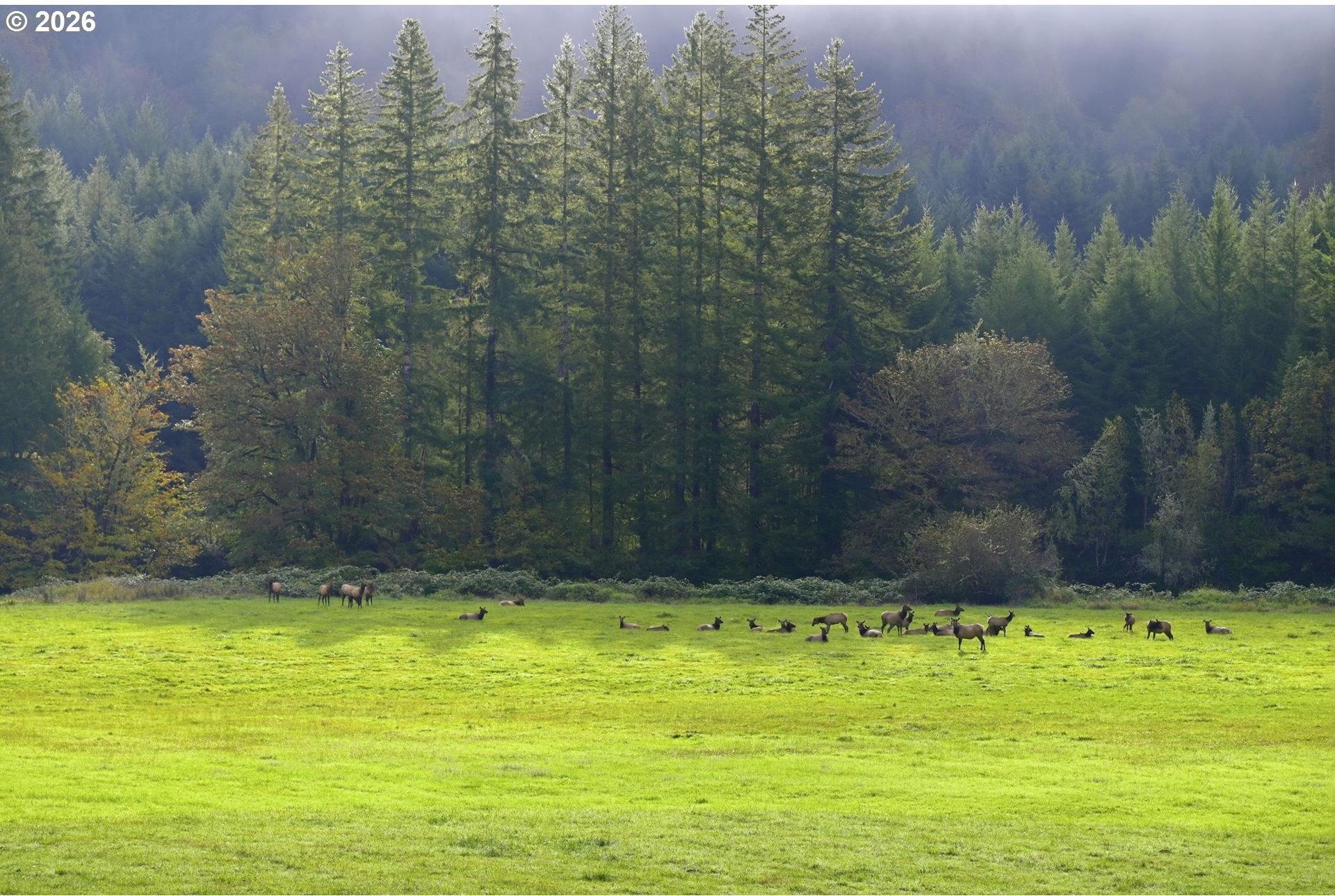 3380 North Fork Smith River Road Reedsport, OR 97467 - Photo 38 of 48 Gallery Image 38