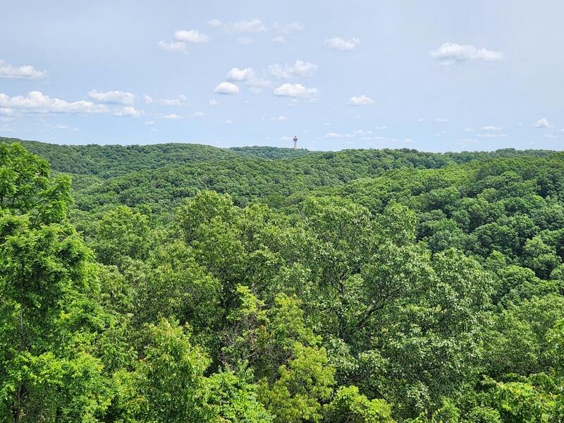 388 Notch Lane, Unit 12 Reeds Spring, MO 65737 - Photo 28 of 37 You Can See Forever
