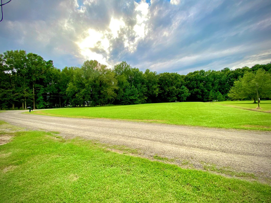 1885 Goat Island Road Summerton, SC 29148 - Photo 2 of 12 Gallery Image 2