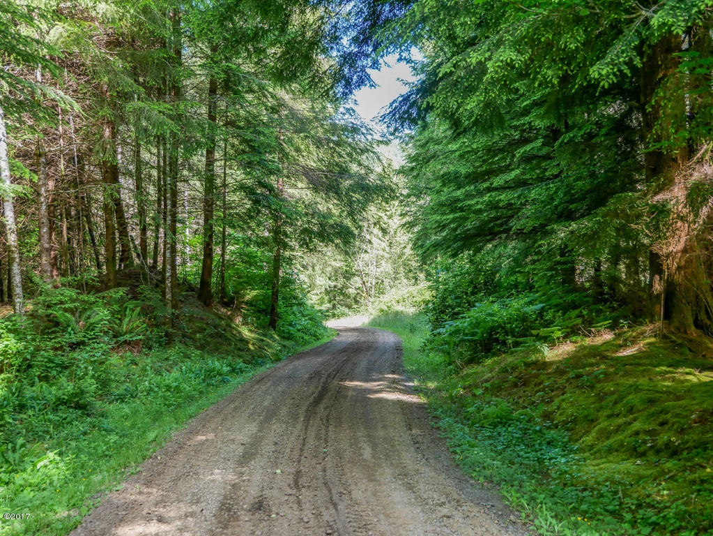 847 Hamer Road Siletz, OR 97380 - Photo 71 of 79 Driveway Entrance