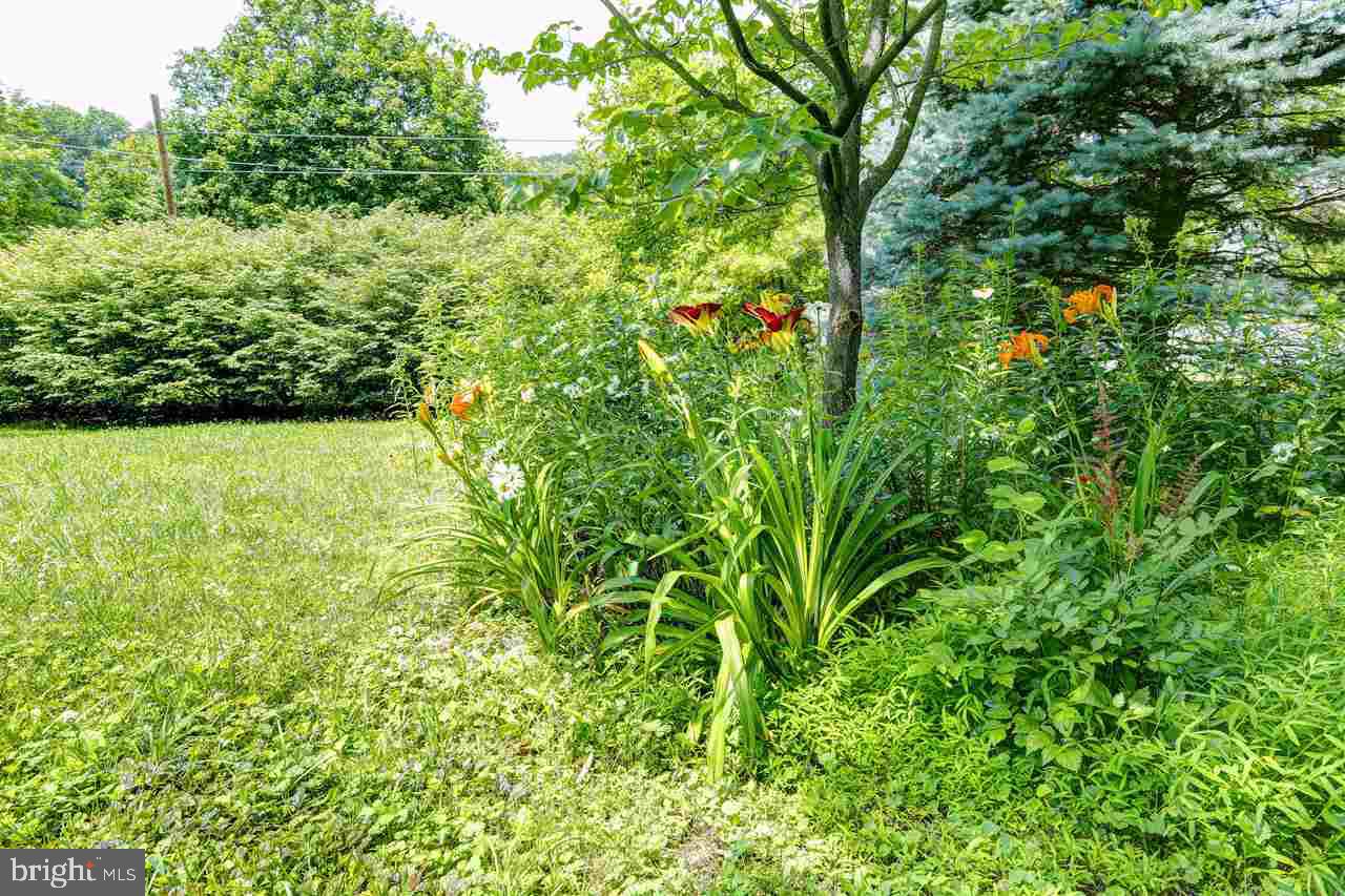 214 Winterstown Road Red Lion, PA 17356 - Photo 6 of 34 Gallery Image 6