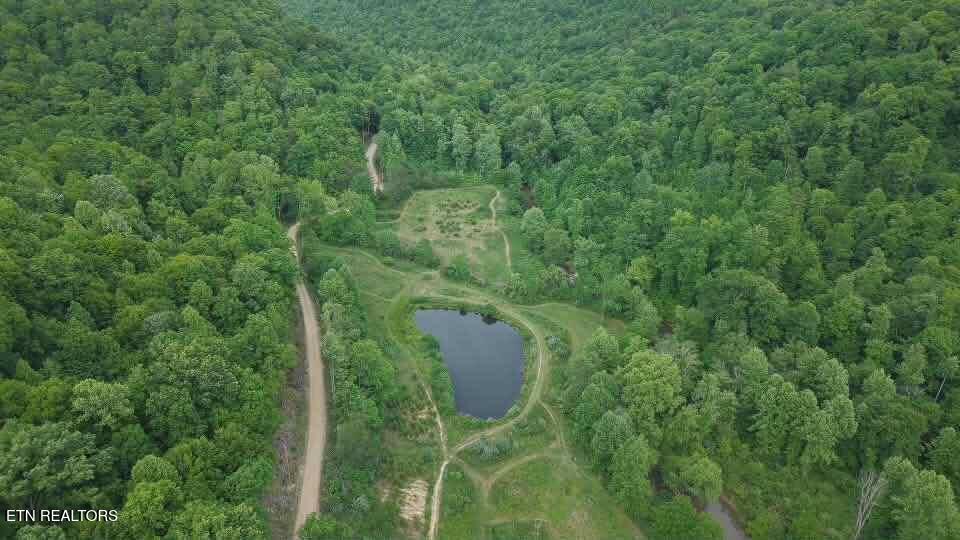 216 Lower Capuchin Road Newcomb, TN 37819 - Photo 11 of 16 att.iIX7X9DVvpH71PhRJUNf3j73WOj7HtWLg5-q