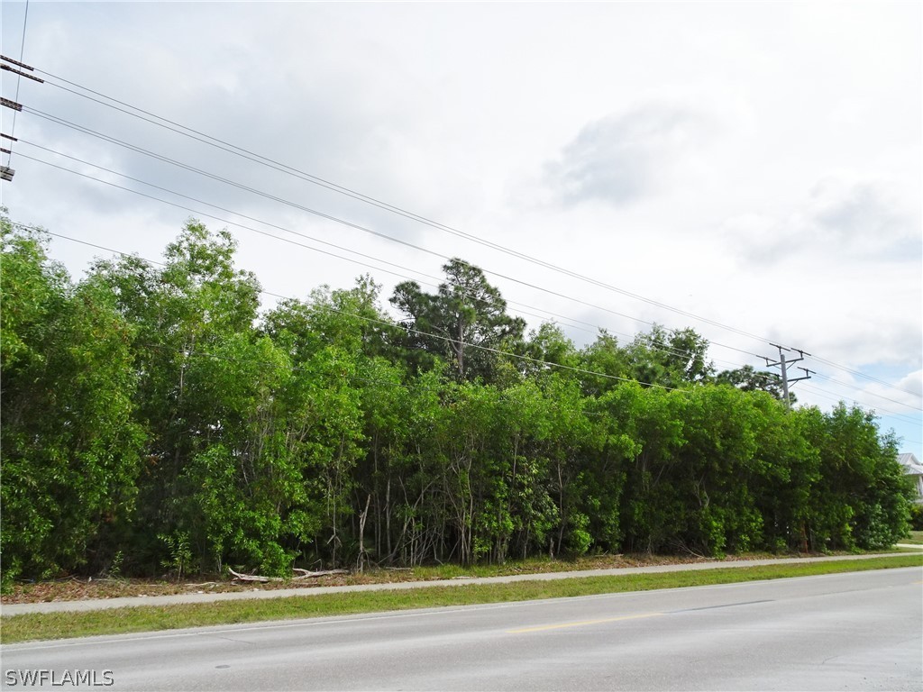8690 Stringfellow Road St. James City, FL 33956 - Photo 3 of 11 a view of a yard