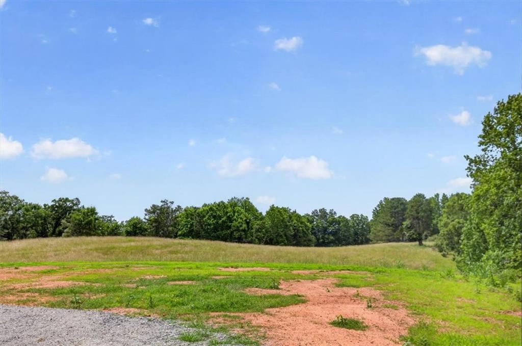0 Conns Creek Road Ball Ground, GA 30107 - Photo 34 of 57