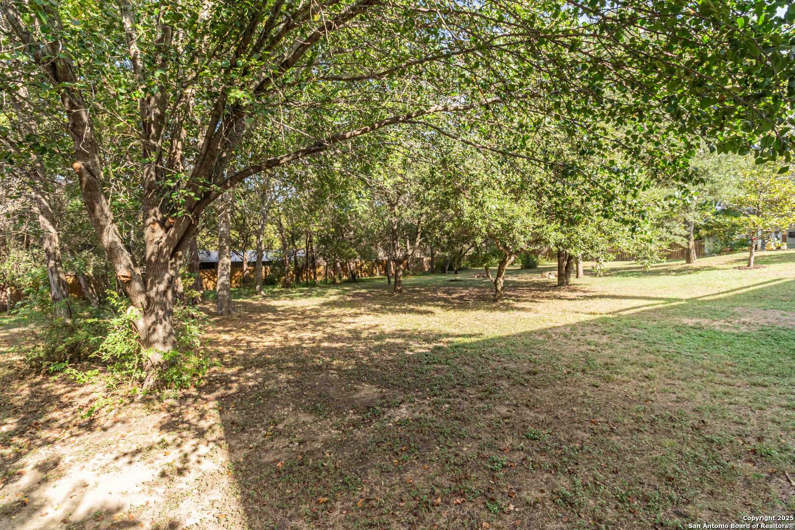 21927 Park View Drive Garden Ridge, TX 78266 - Photo 33 of 44