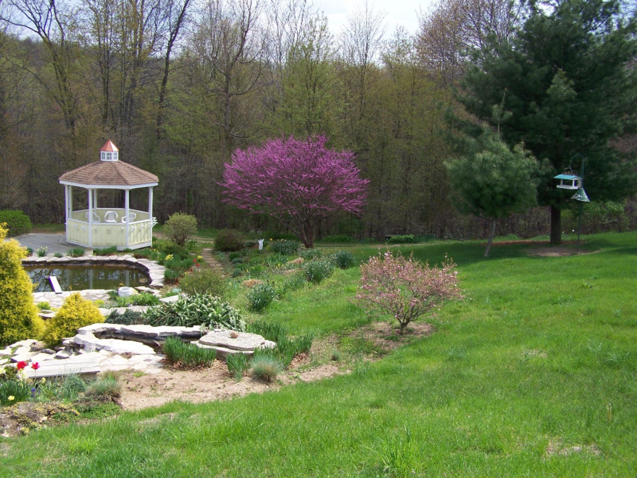 67138 Shimmel Road Sturgis, MI 49091 - Photo 110 of 112 Hill Picyures 026