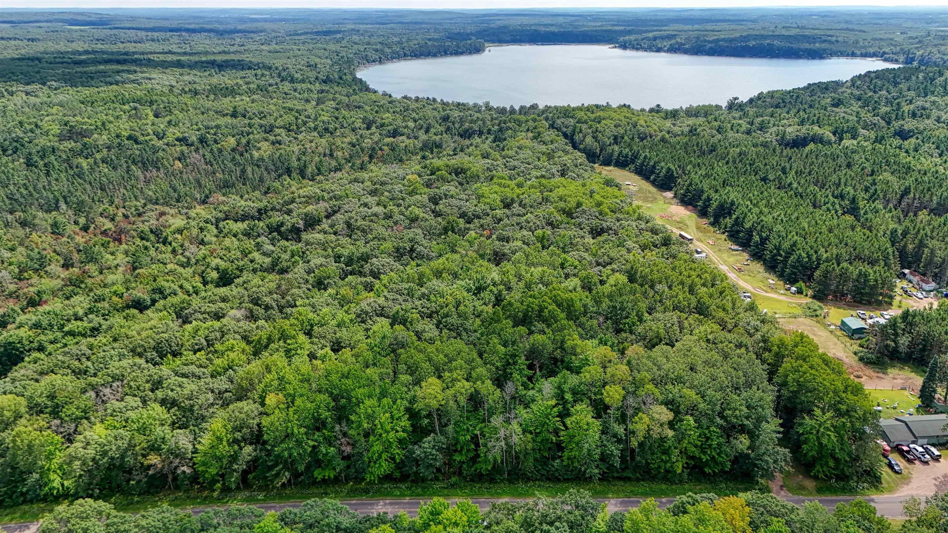 Aerial view of a forest and a nearby body of water