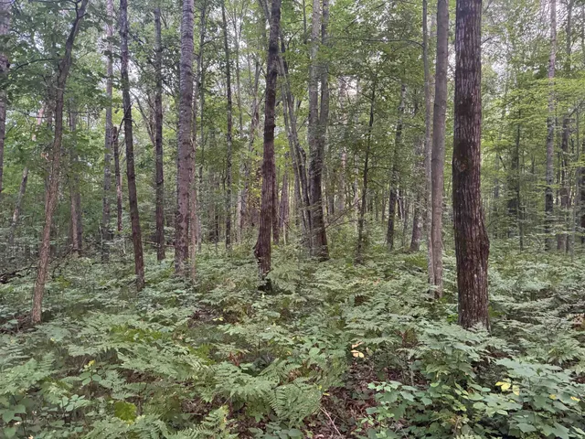 $89,000 | 13-acres On 13-acres On County Road, Spooner, WI 54801