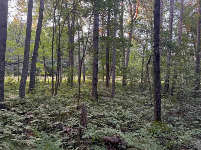 $89,000 | 13-acres On 13-acres On County Road, Spooner, WI 54801