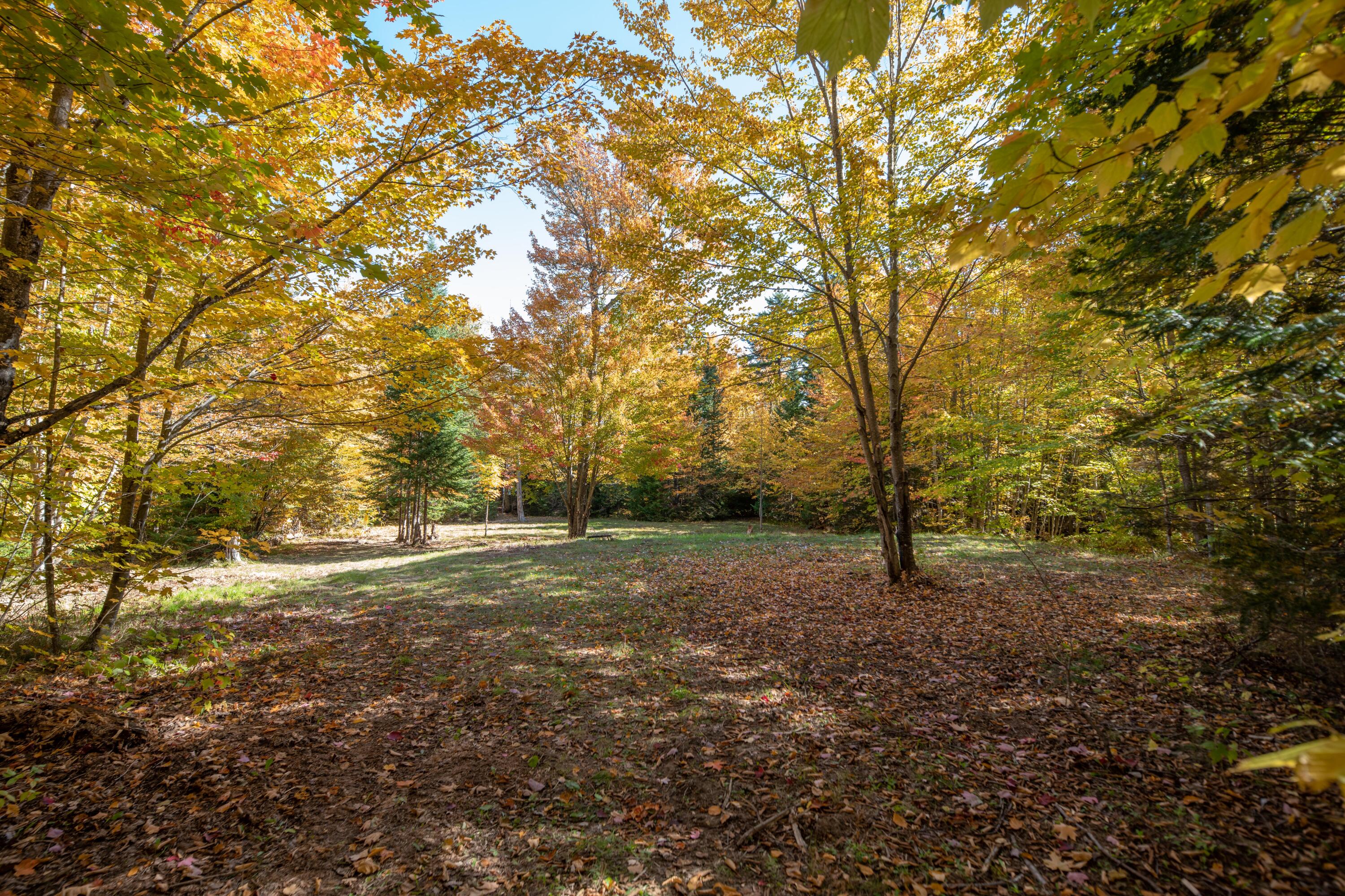 Lot 30 Toe Of The Boot Road Rockwood, ME 04478 - Photo 4 of 15 DSC_5297