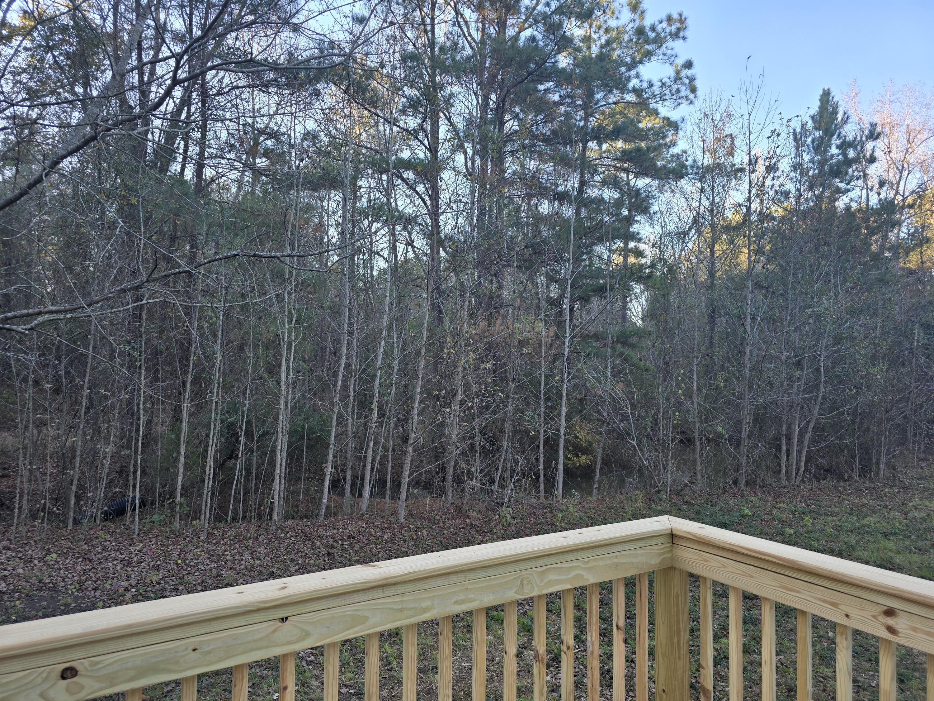 2630 Ben Sanders Road Dalzell, SC 29040 - Photo 21 of 29