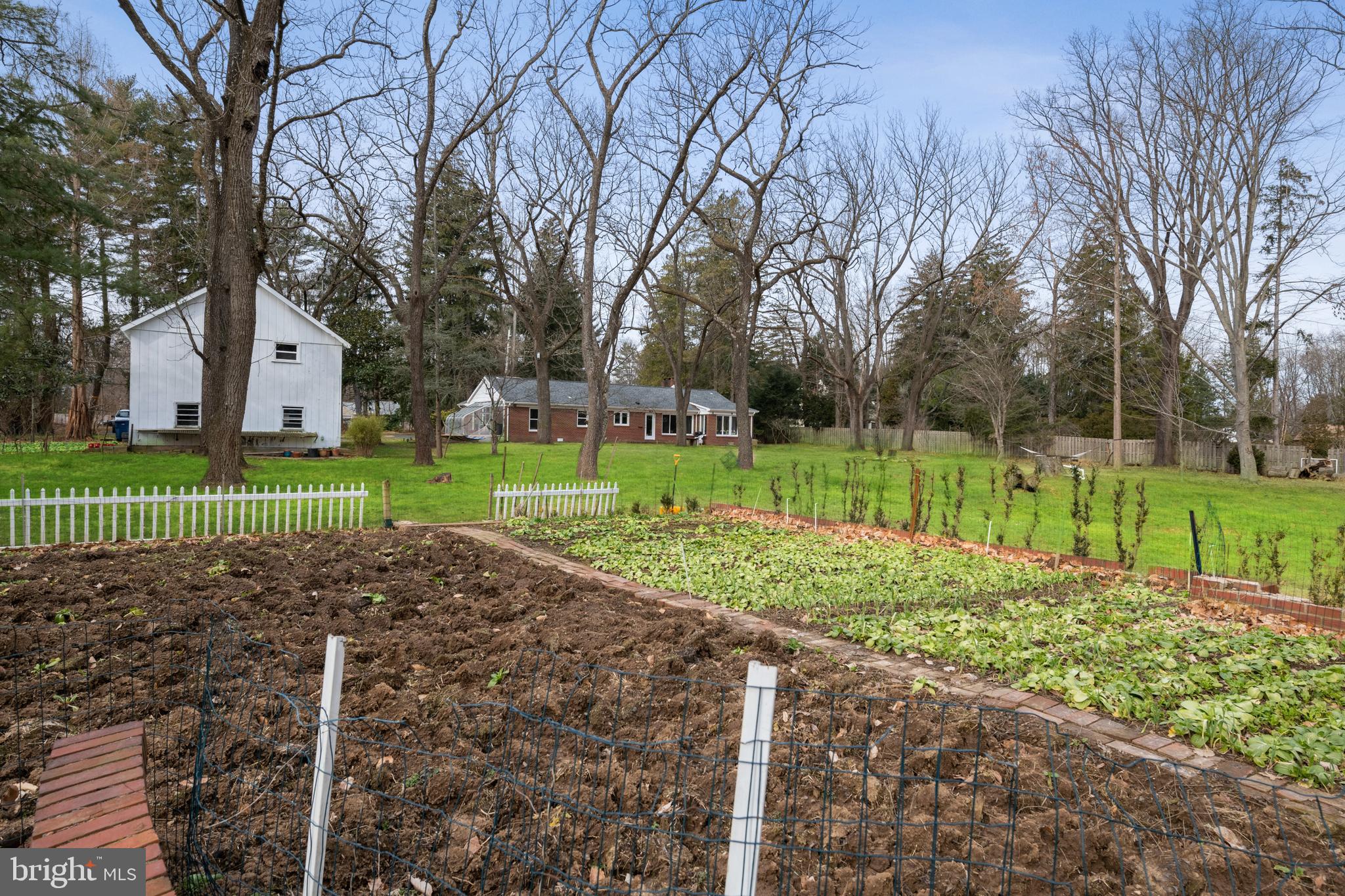 184 Carter Road Princeton, NJ 08540 - Photo 30 of 34 a view of a park and trees