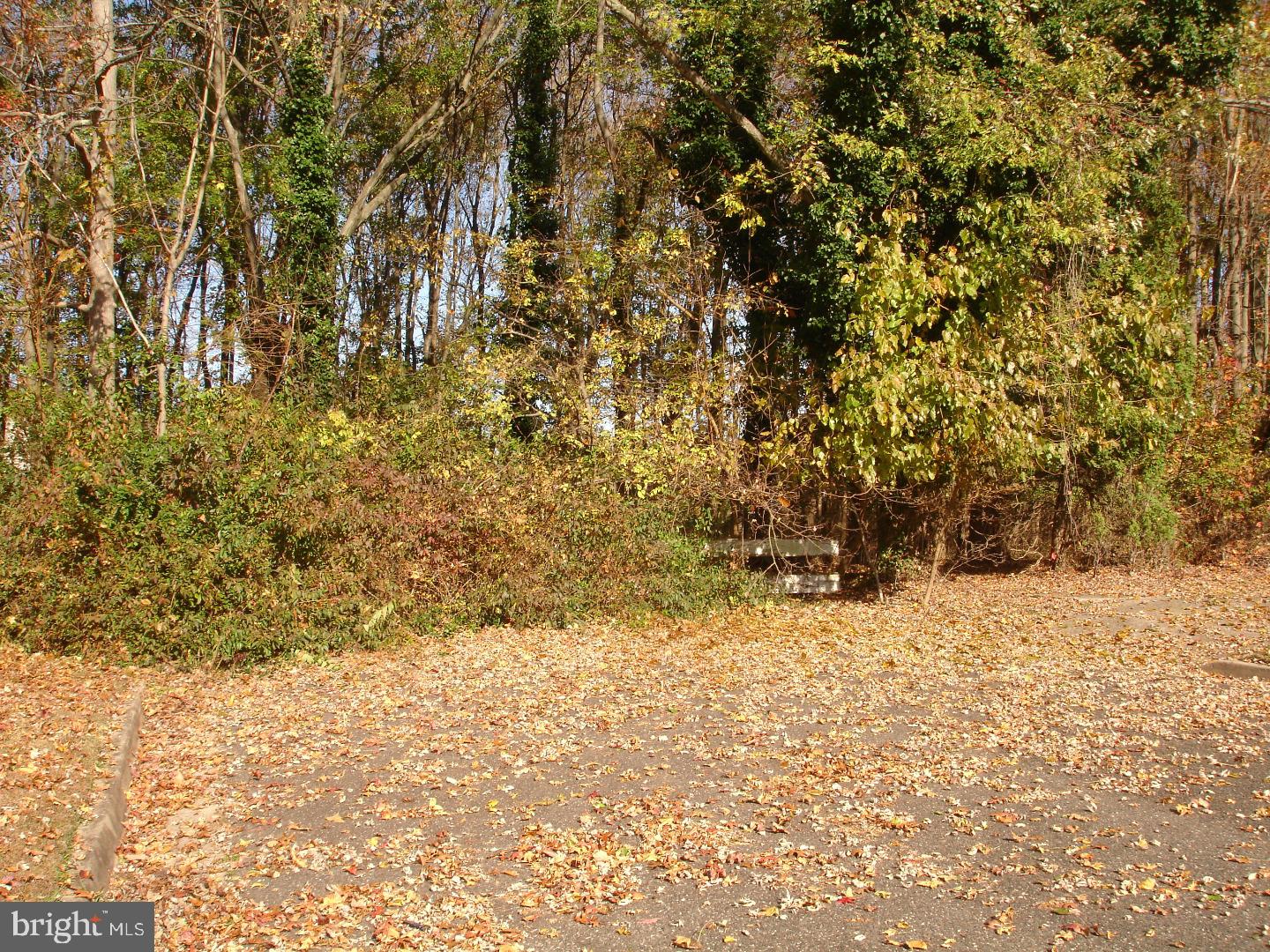 0 Church Road Maple Shade, NJ 08052 - Photo 2 of 5