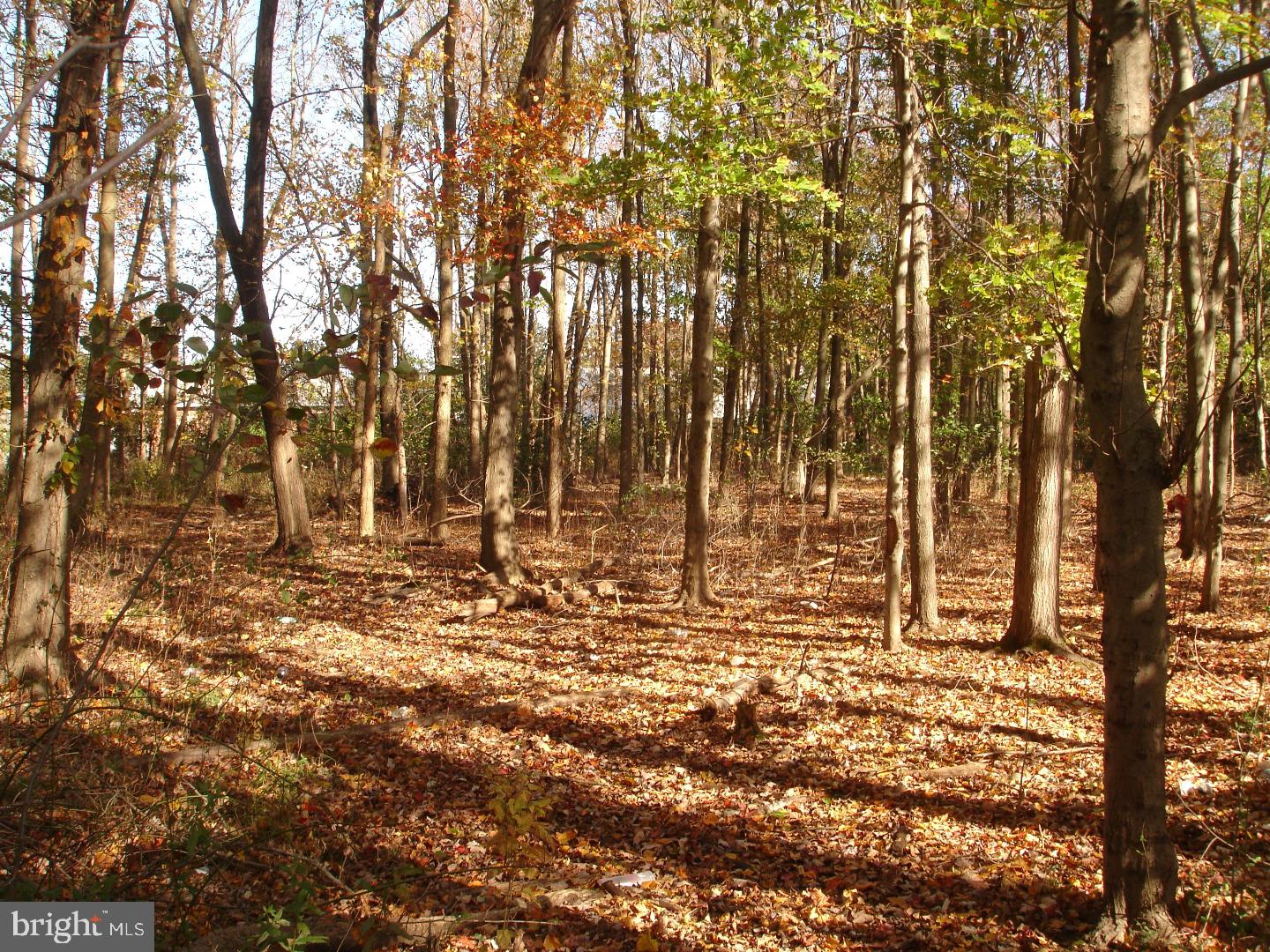 0 Church Road Maple Shade, NJ 08052 - Photo 3 of 5