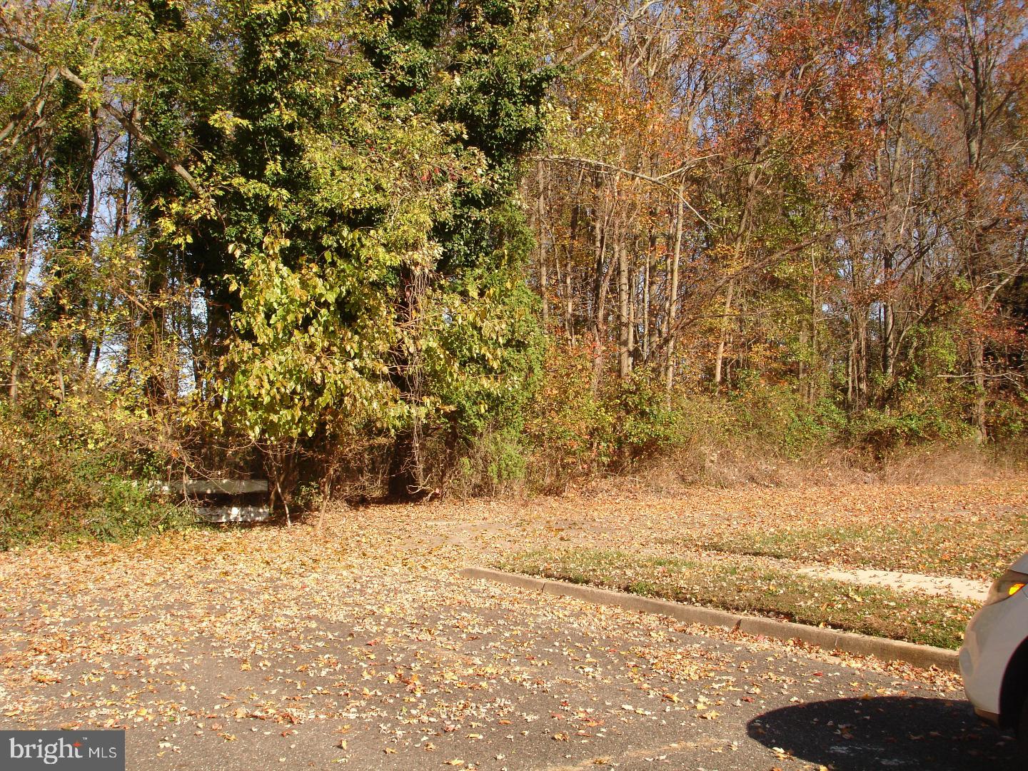 0 Church Road Maple Shade, NJ 08052 - Photo 5 of 5