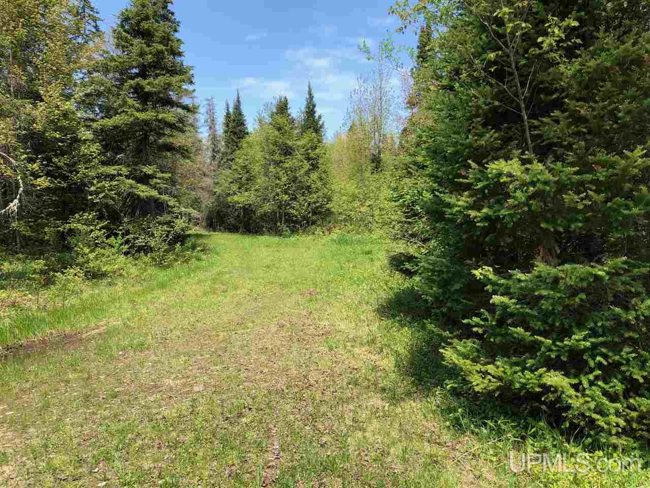 79.99-ac Off West Harding Road Bessemer, MI 49911 - Photo 33 of 33