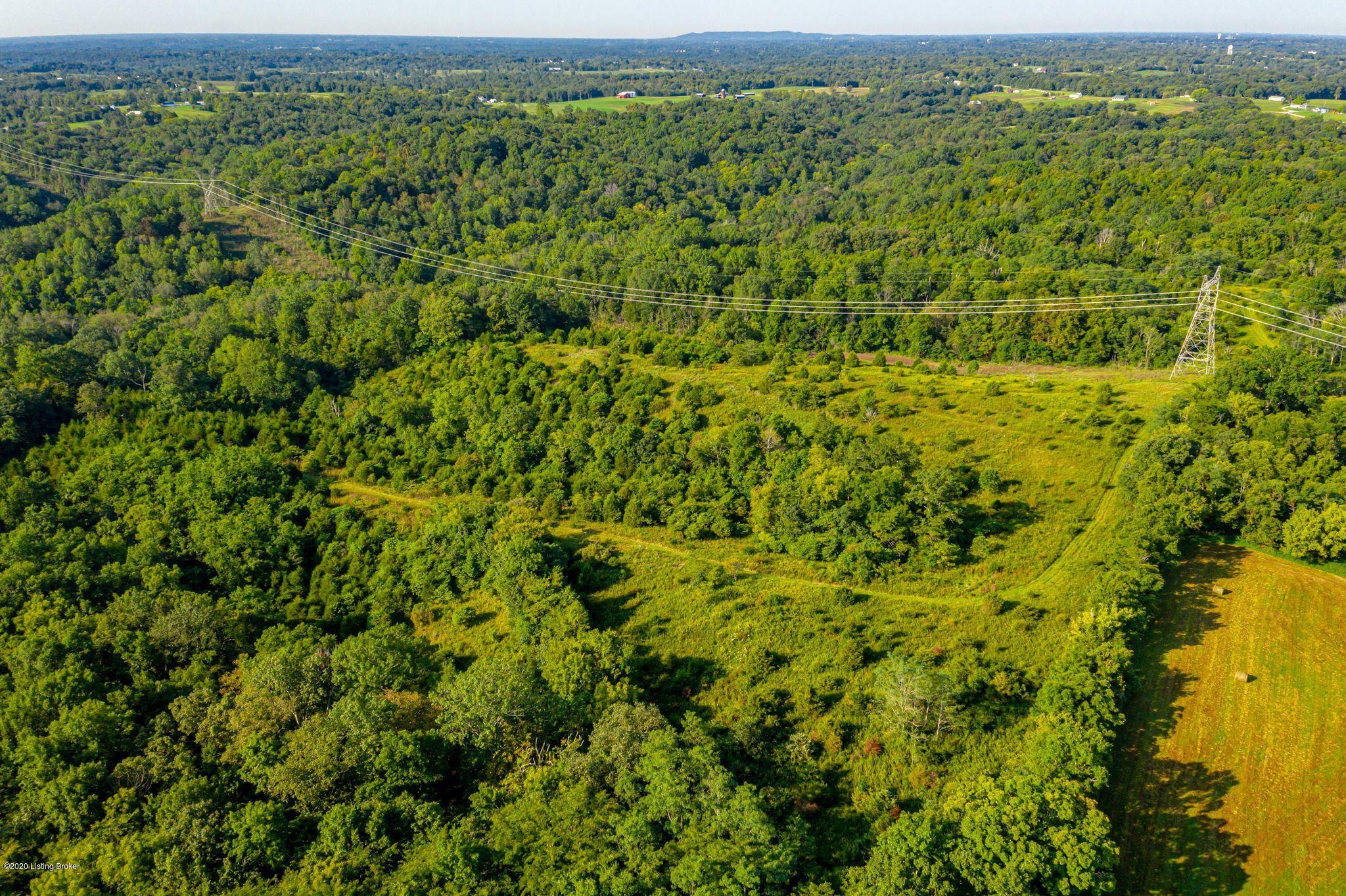 901 Goose Creek Road Bagdad, KY 40003 - Photo 14 of 28 aerial