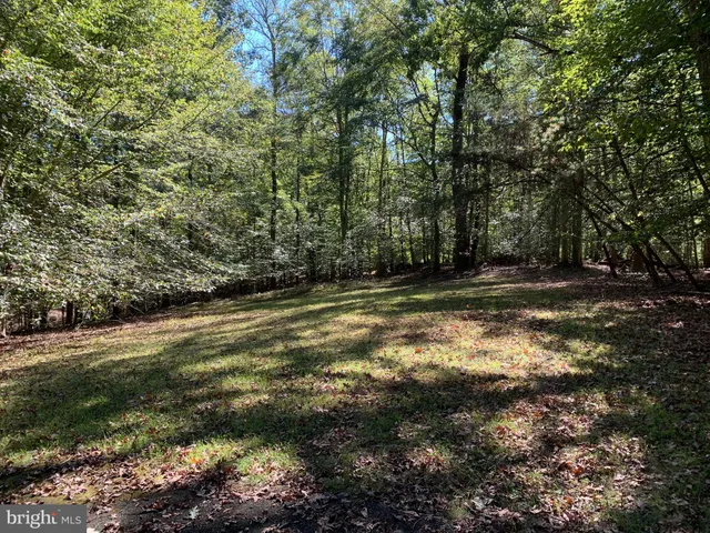 a view of outdoor space with deck and yard