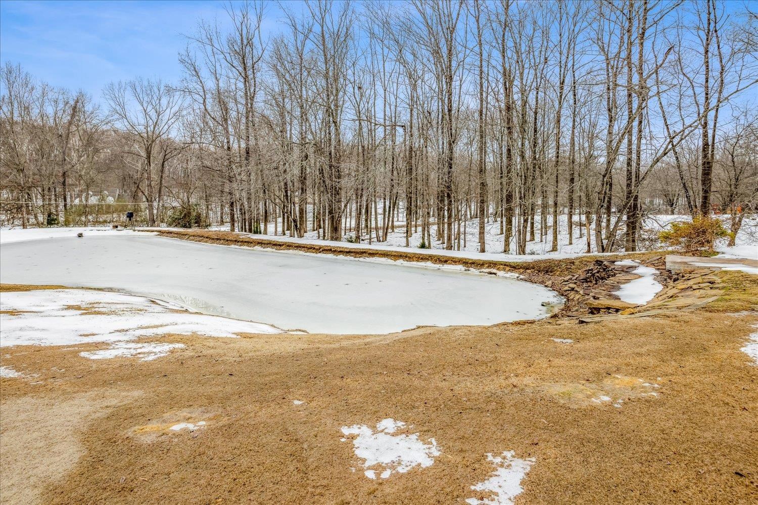 897 Burrowtown Road Mason, TN 38049 - Photo 33 of 36 View of snowy yard