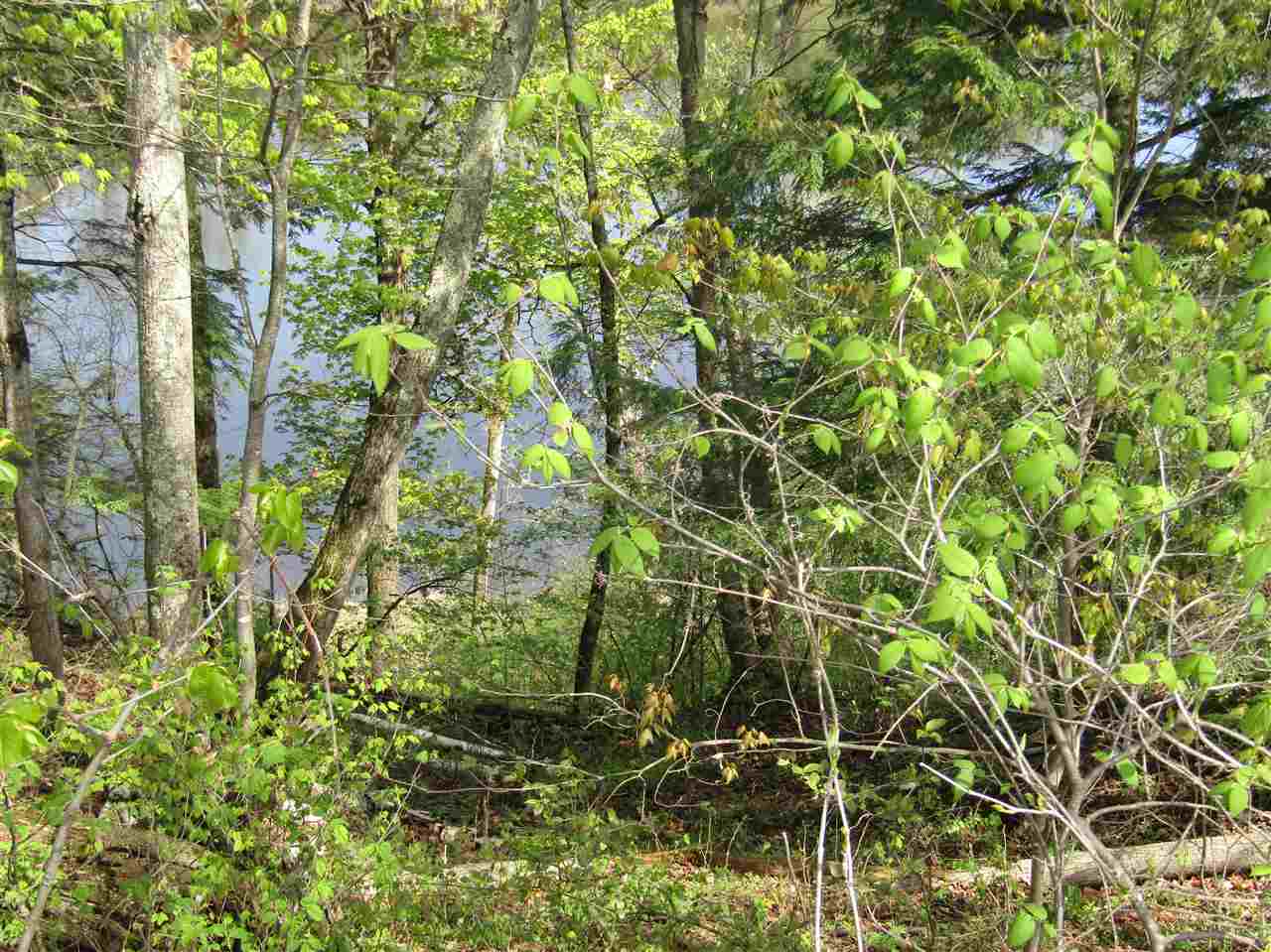 Lot 3 Monroe Road Bath, NH 03740 - Photo 15 of 37