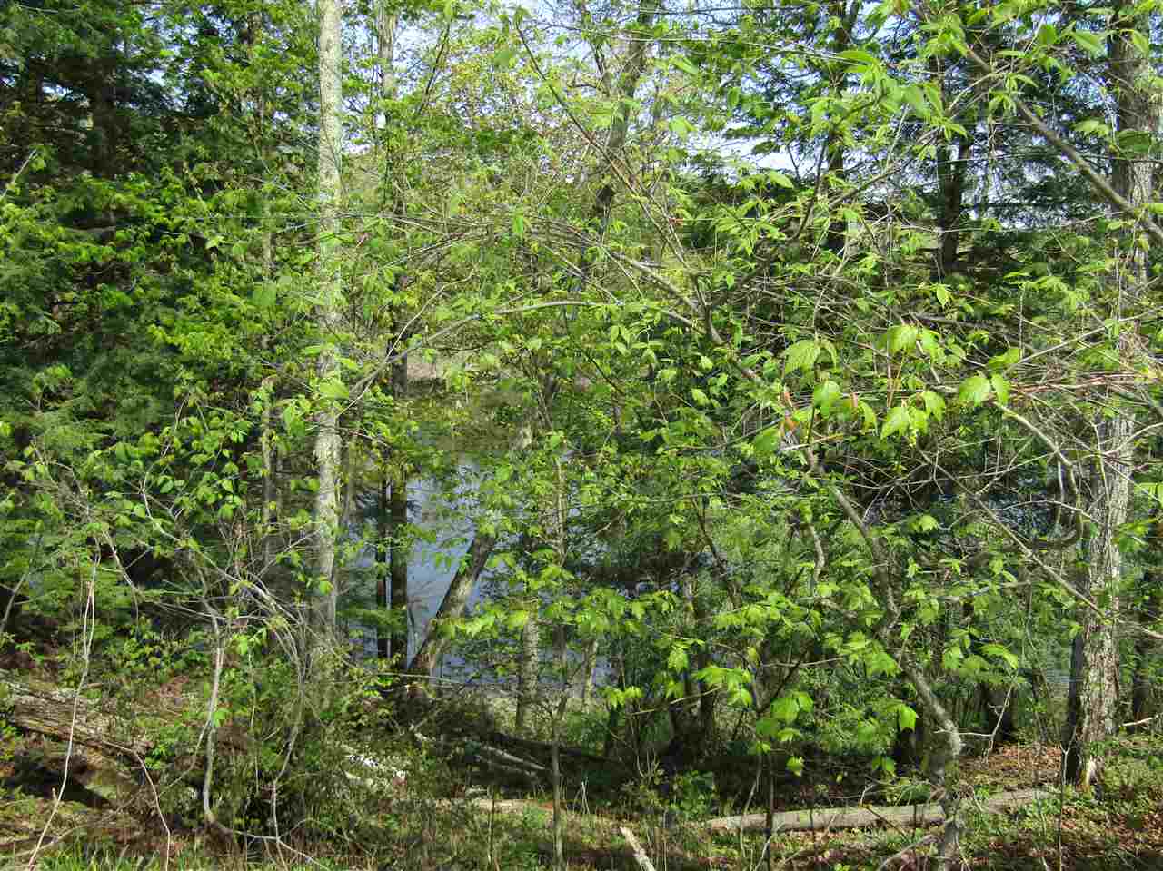 Lot 3 Monroe Road Bath, NH 03740 - Photo 16 of 37