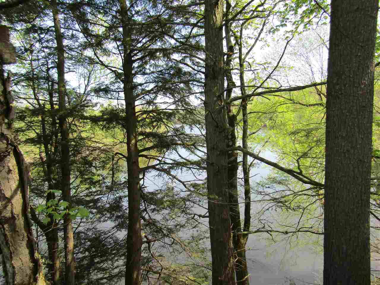 Lot 3 Monroe Road Bath, NH 03740 - Photo 19 of 37