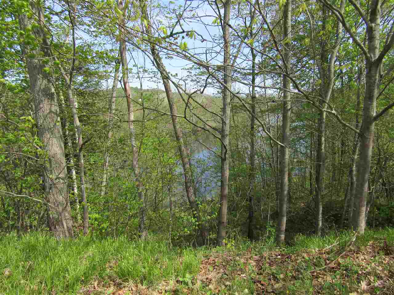 Lot 3 Monroe Road Bath, NH 03740 - Photo 7 of 37