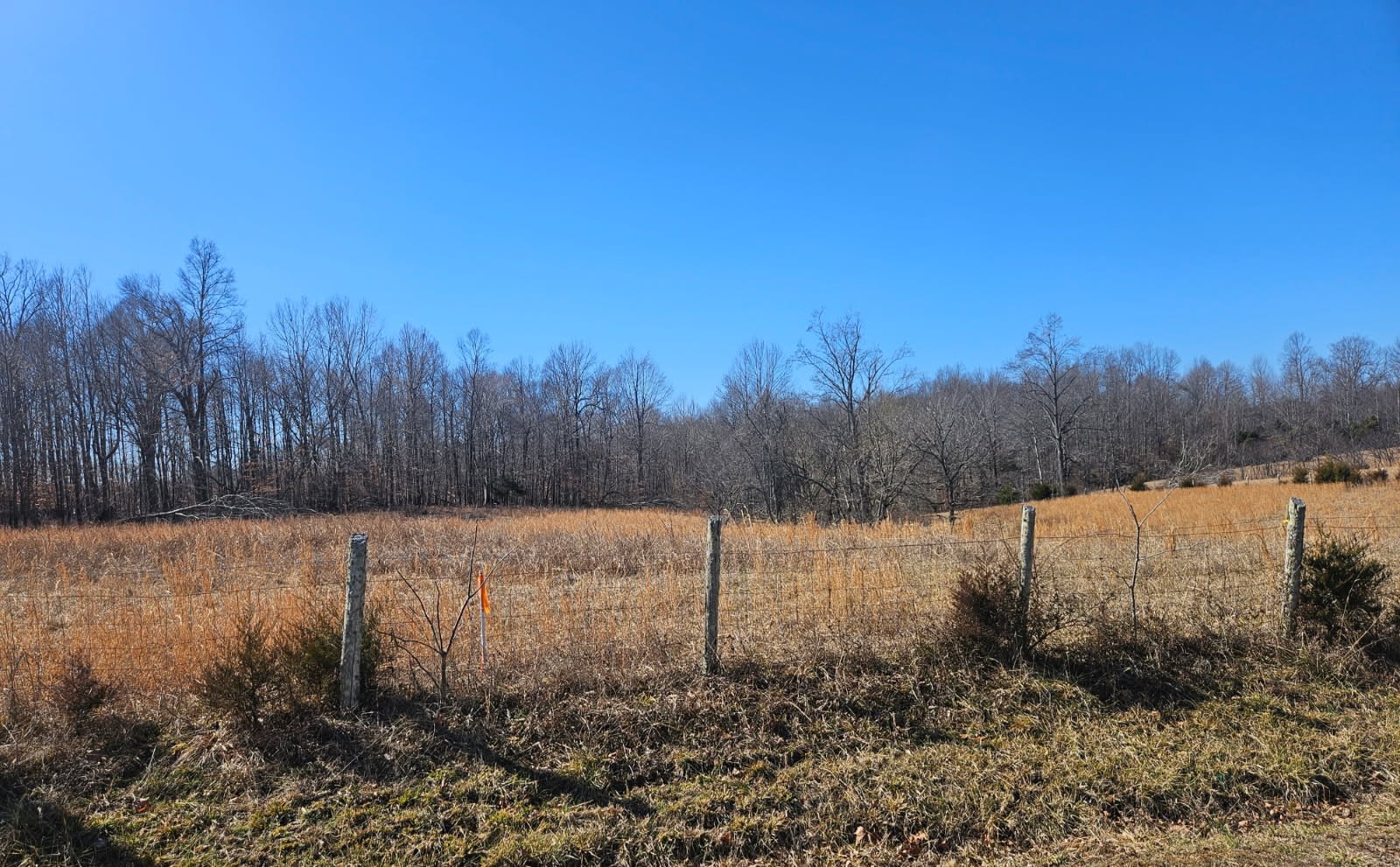 a view of a lake with trees in the background