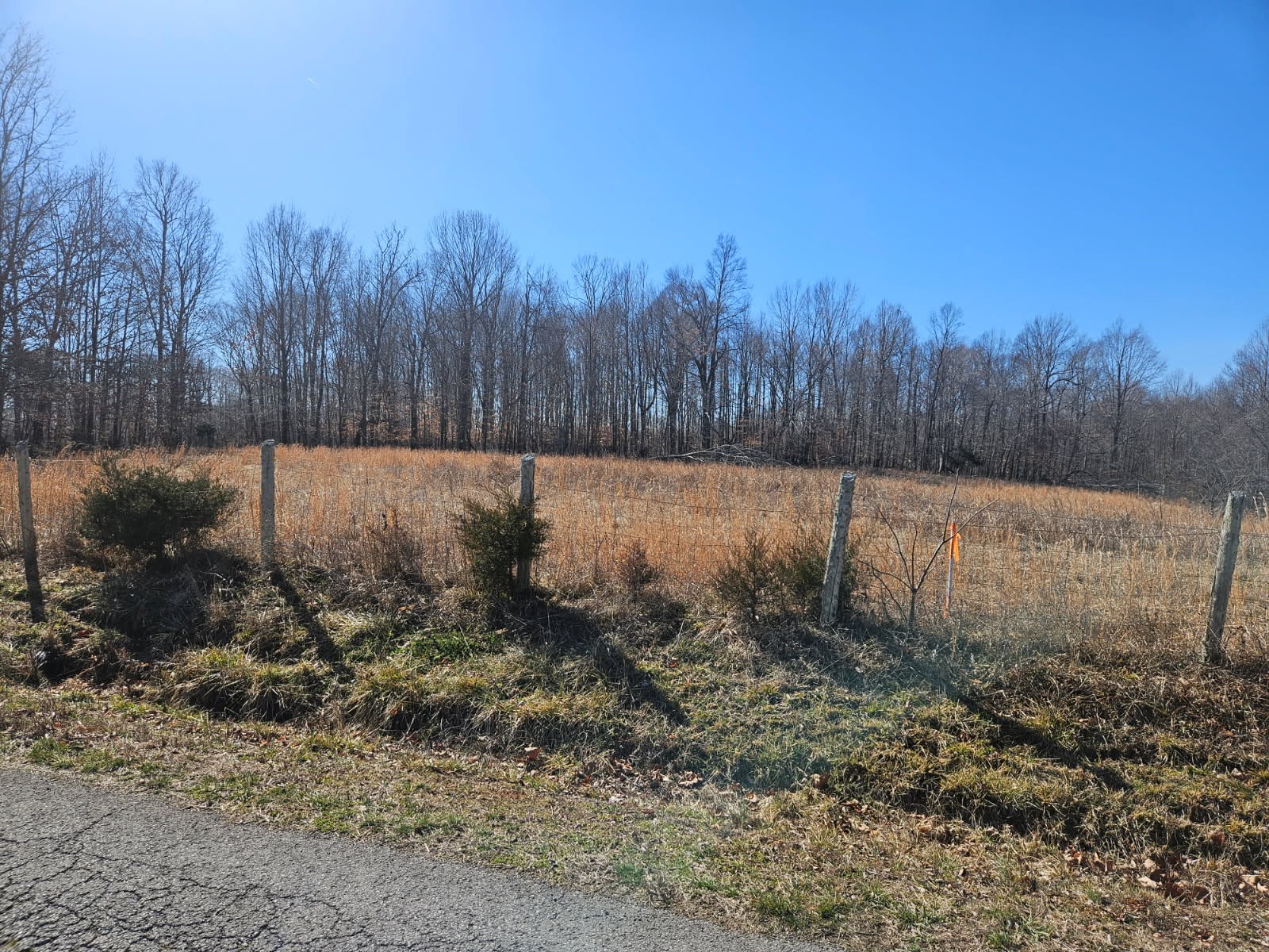 7 Sadlers Chapel Road Lafayette, TN 37083 - Photo 3 of 5 a view of backyard with green space