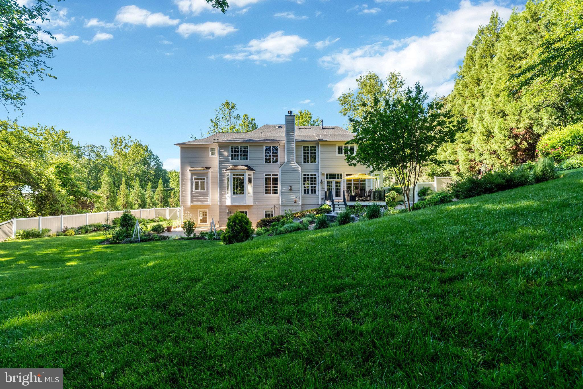 6900 Benjamin Street McLean, VA 22101 - Photo 64 of 74 Mature Landscaping