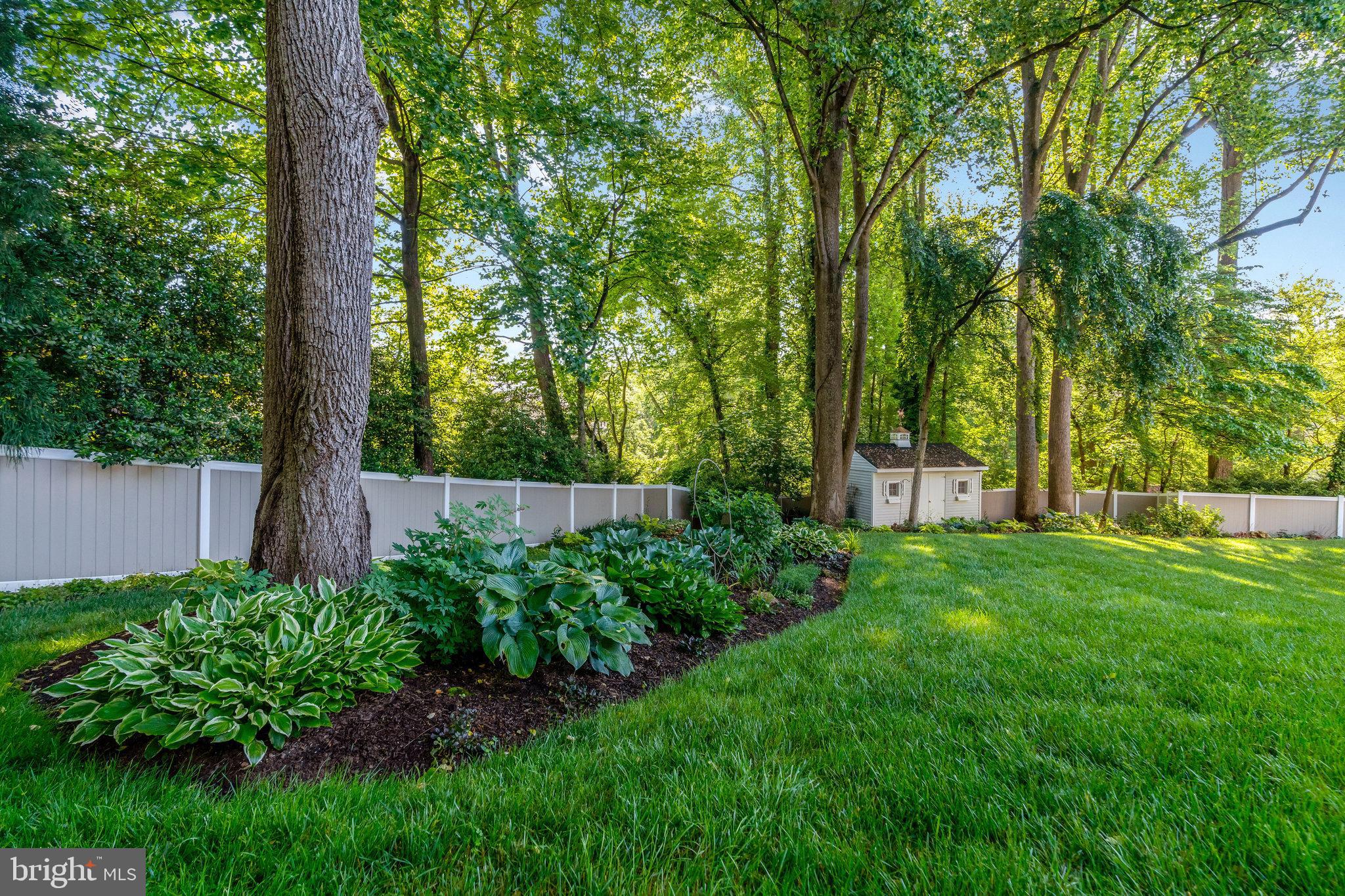6900 Benjamin Street McLean, VA 22101 - Photo 69 of 74 Yard With Storage Shed
