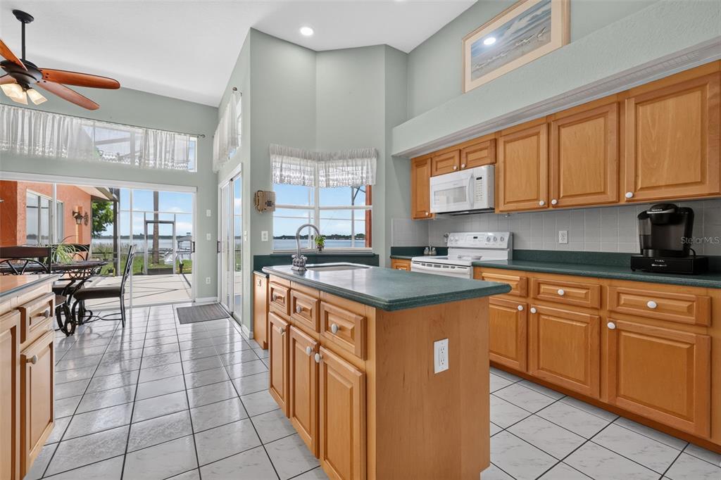 29742 Squirrel Point Road Tavares, FL 32778 - Photo 11 of 58